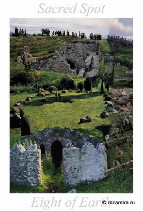 Nature Tarot by Jan Strube